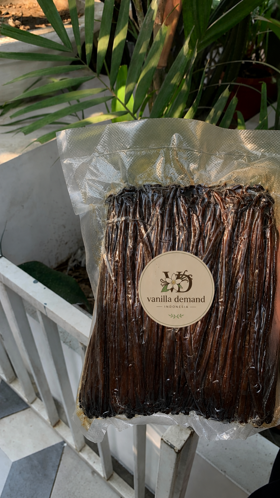 Vacuum-sealed bundle of Planifolia Gourmet vanilla beans